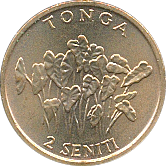 2 Seniti 1981~1996 Wertseite